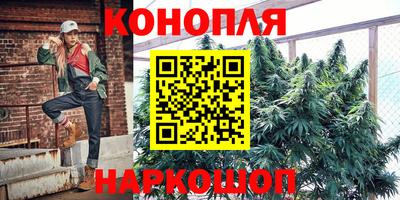 стафф Дмитров