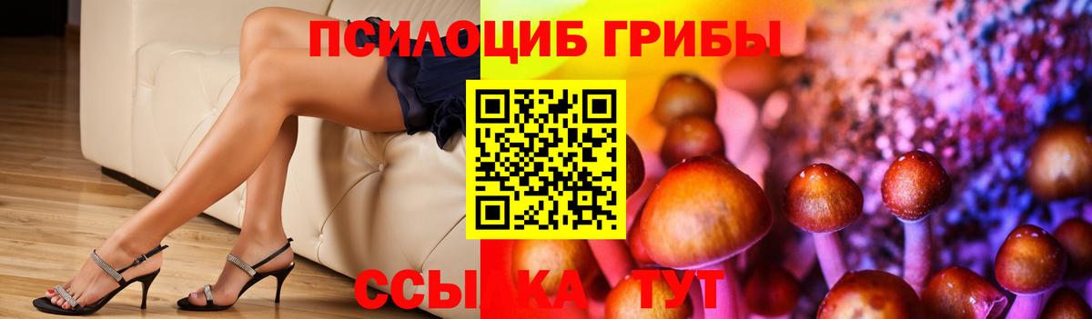 Белгород  Галлюциногенные грибы GOLDEN TEACHER  купить   Вход с VPN 